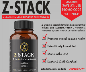Z-Stack Ad 300 x 250 V2
