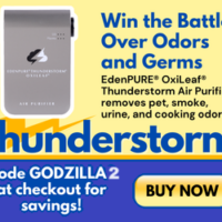 EP Thunderstorm III Banner GODZILLA2 300x250